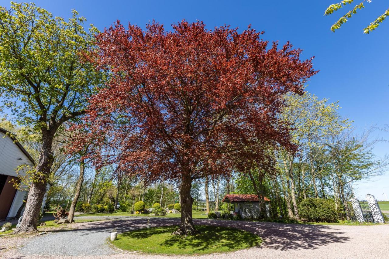 Denkerhof Ferienwohnung Sodalith Reussenkoge Luaran gambar